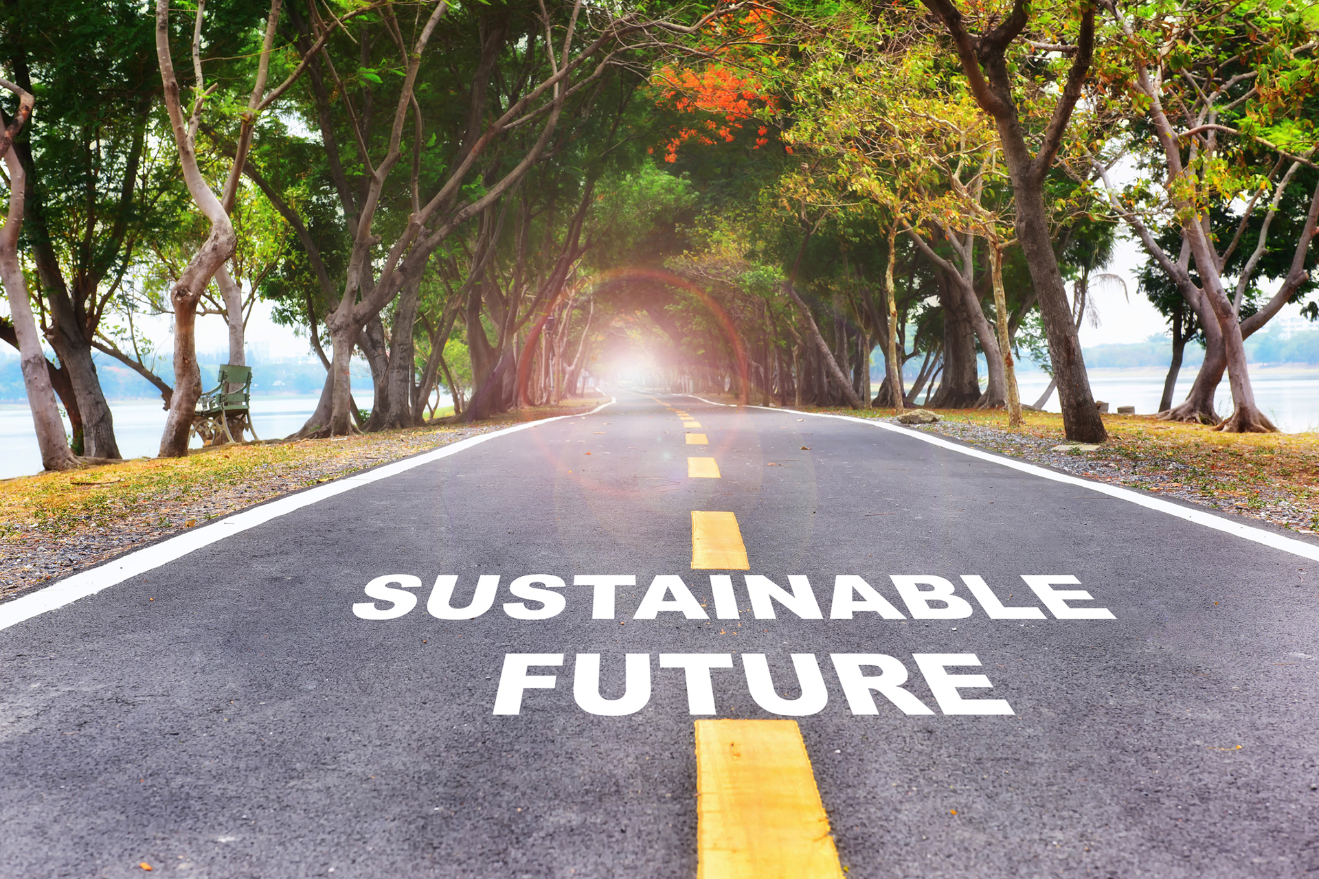 Sustainable Future