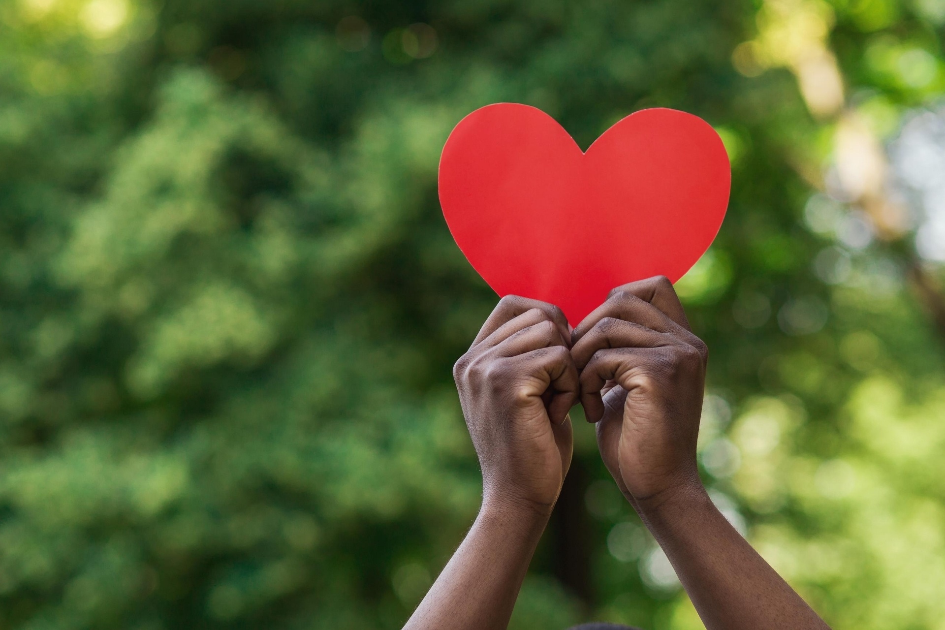 Hand holding red heart