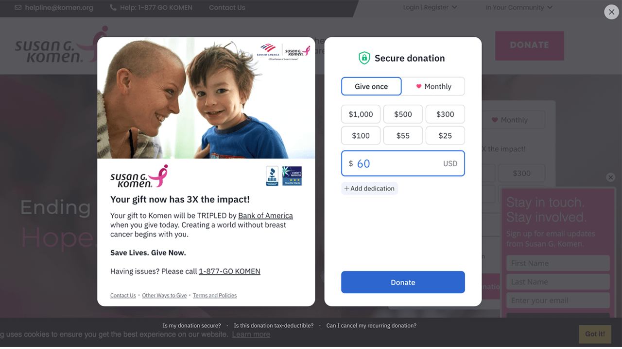 Susan G. Komen donation page sample