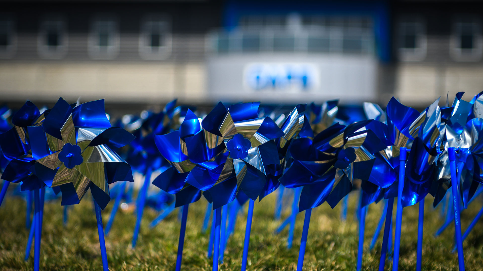blue pinwheels representing child abuse prevention